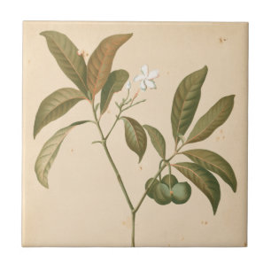 Cobalt Deco Panel I Tile