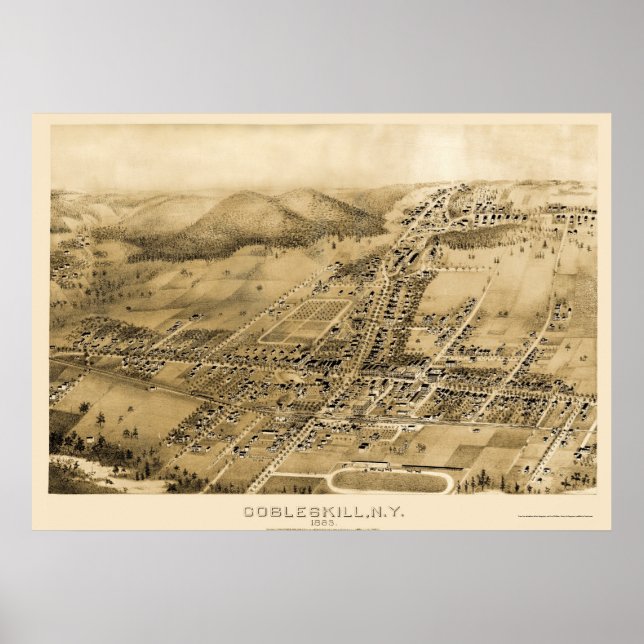 Cobbleskill, NY Panoramic Map - 1883 Poster (Front)