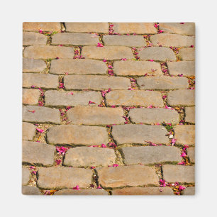 Cobblestone Walking Detail Magnet