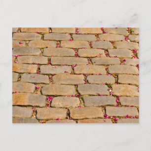Cobblestone Walking Detail Postcard