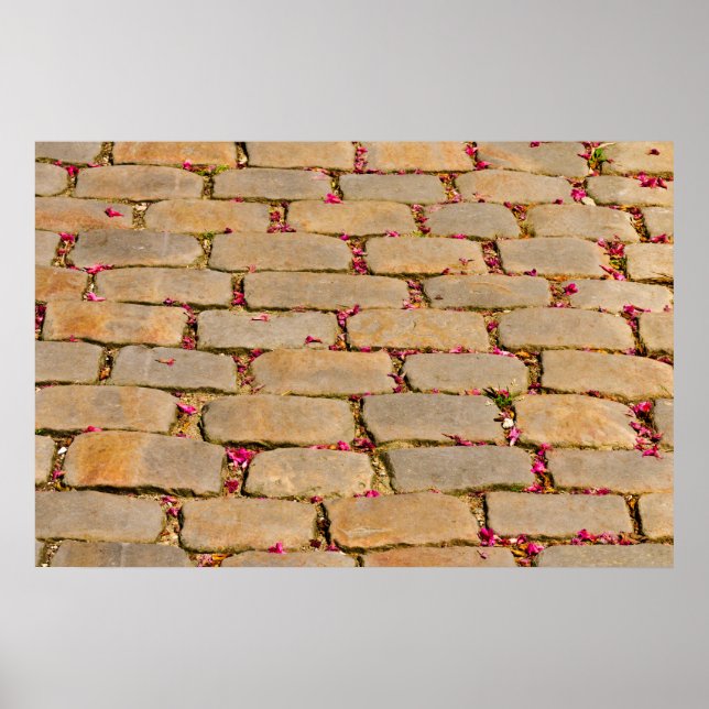 Cobblestone Walking Detail Poster (Front)