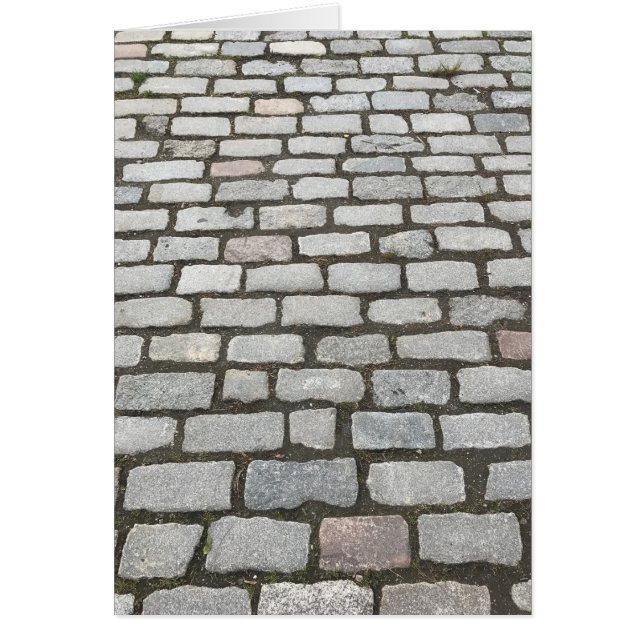 Cobblestone Walkway, Central Park, New York City (Front)