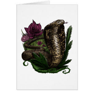 Cobra