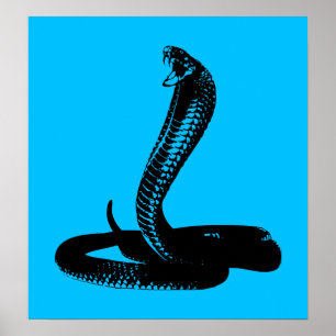 Cobra - black poster