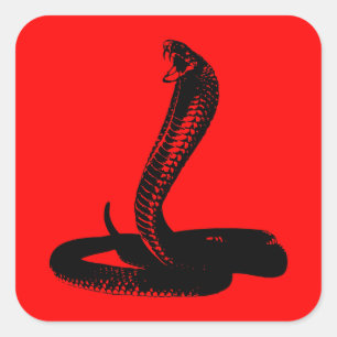 Cobra - black square sticker