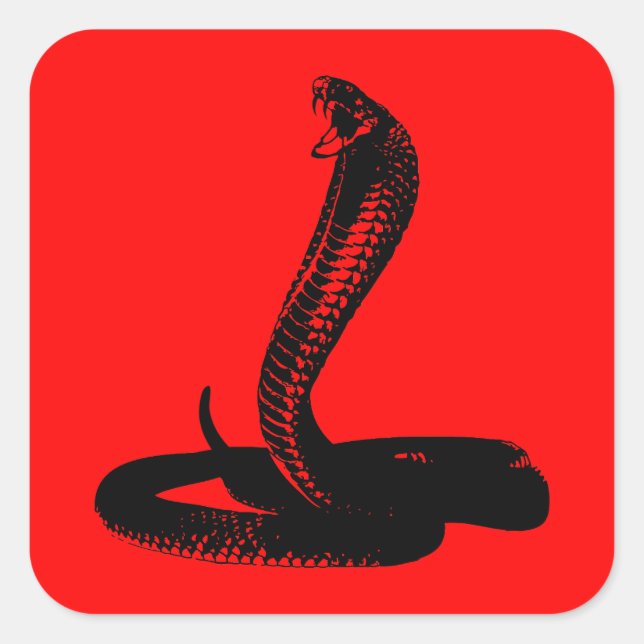 Cobra - black square sticker (Front)