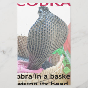 Cobra in a Basket Ready to spit Fire