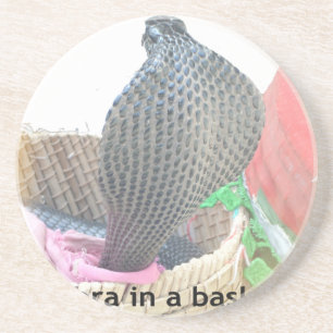 Cobra in a Basket Ready to spit Fire Coaster