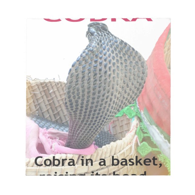 Cobra in Basket Art Print Notepad (Front)