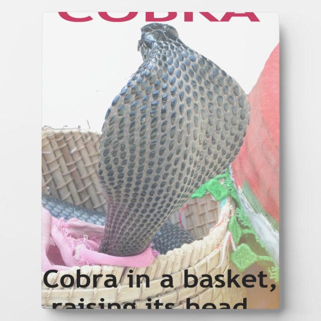 Cobra in Basket Art Print Plaque (Front)