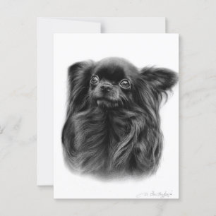 Cobra Long-Haired Chihuahua Hand Painted Portrai Postcard