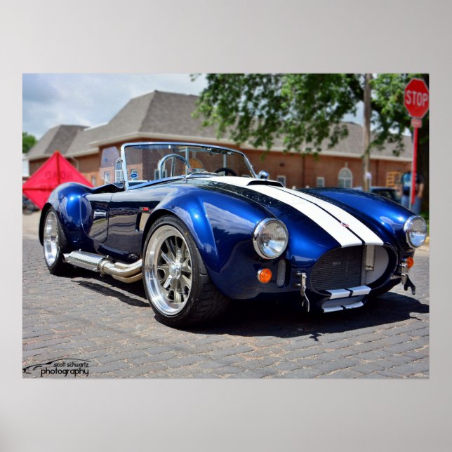 Cobra poster (Front)