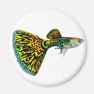 Cobra Snakeskin Guppy Magnet