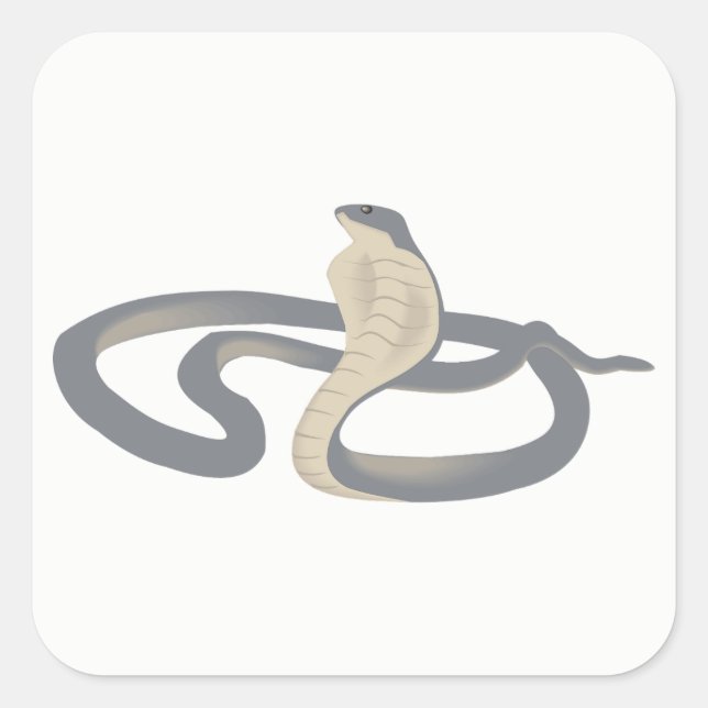 Cobra Square Sticker (Front)