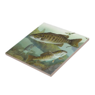 Coccibus Tile