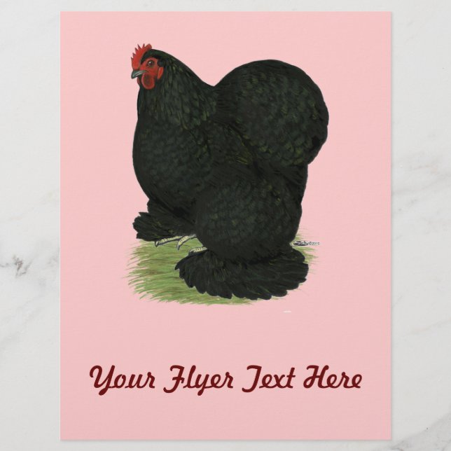 Cochin:  Black Hen Flyer (Front)