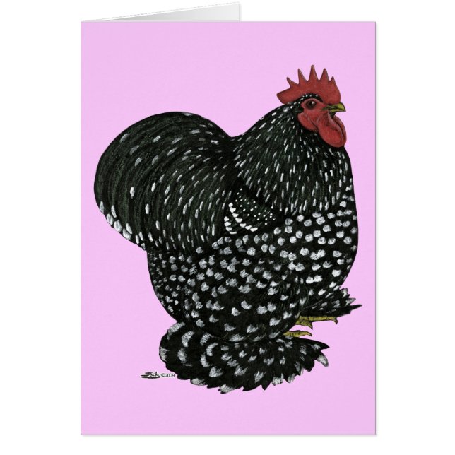 Cochin:  Black Mottle (Front)