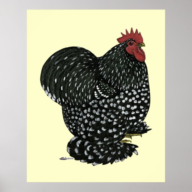 Cochin:  Black Mottle Poster (Front)