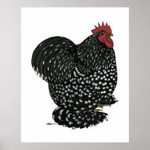 Cochin:  Black Mottle Poster