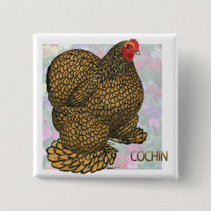 Cochin: Gold-laced Hen 15 Cm Square Badge