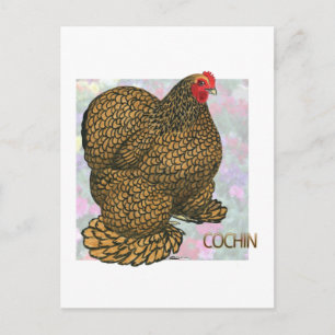 Cochin: Gold-laced Hen Postcard