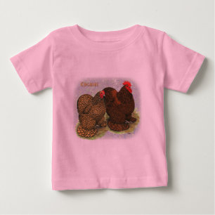 Cochin:  Golden-laced2 Baby T-Shirt