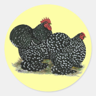 Cochin Mottled Chicken Pair Classic Round Sticker