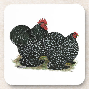 Cochin Mottled Chicken Pair Coaster