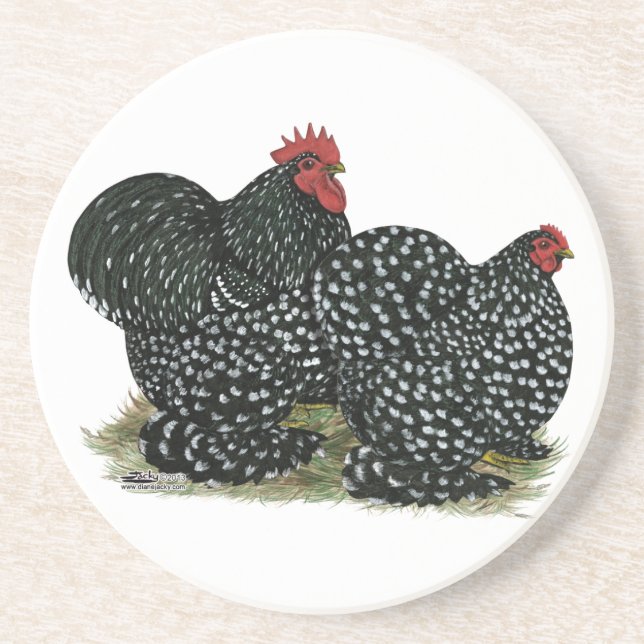 Cochin Mottled Chickens Coaster (Front)
