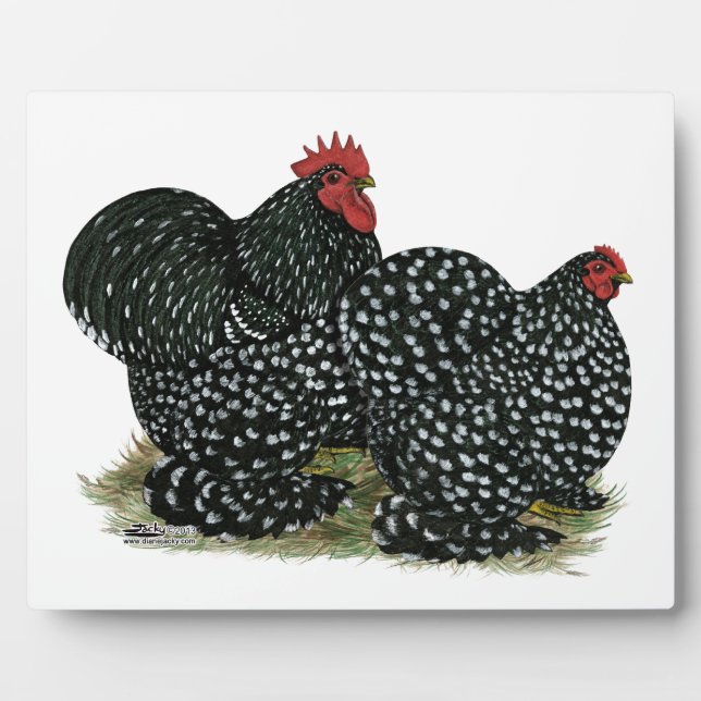 Cochin Mottled Chickens Plaque (Front)