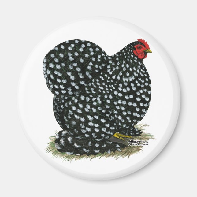 Cochin Mottled Hen Magnet (Front)
