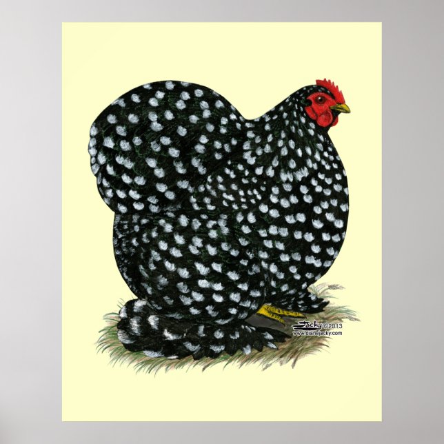 Cochin Mottled Hen Poster (Front)