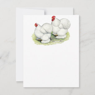 Cochin: White Bantams