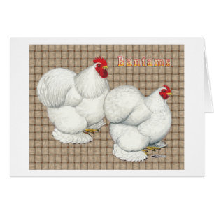 Cochin: White Bantams