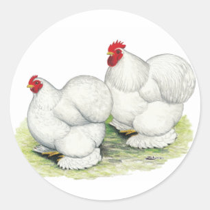 Cochin: White Bantams Classic Round Sticker