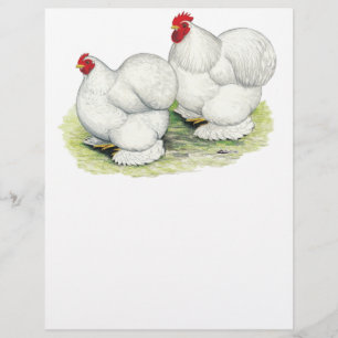 Cochin:  White Bantams Flyer