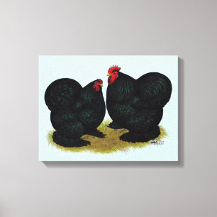 Cochins Black Bantam Pair Canvas Print
