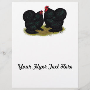Cochins Black Bantam Pair Flyer