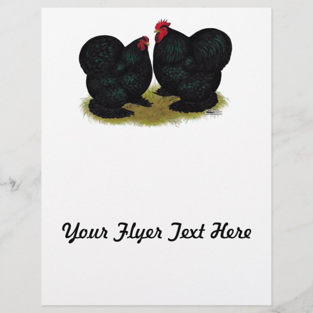 Cochins Black Bantam Pair Flyer (Front)