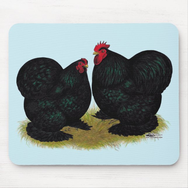 Cochins Black Bantam Pair Mouse Mat (Front)