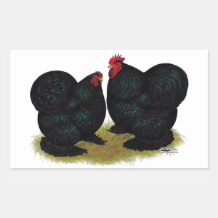 Cochins Black Bantam Pair Rectangular Sticker