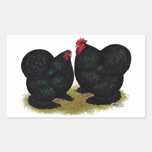 Cochins Black Bantam Pair Rectangular Sticker (Front)