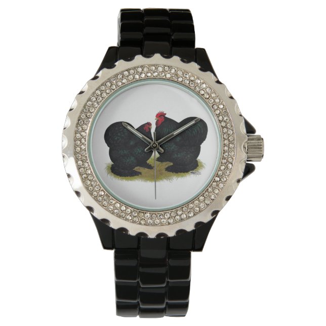 Cochins Black Bantam Pair Watch (Front)