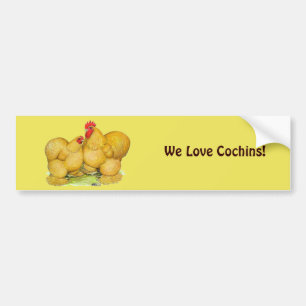Cochins Buff Pair Bumper Sticker