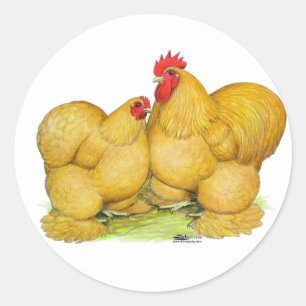 Cochins Buff Pair Classic Round Sticker