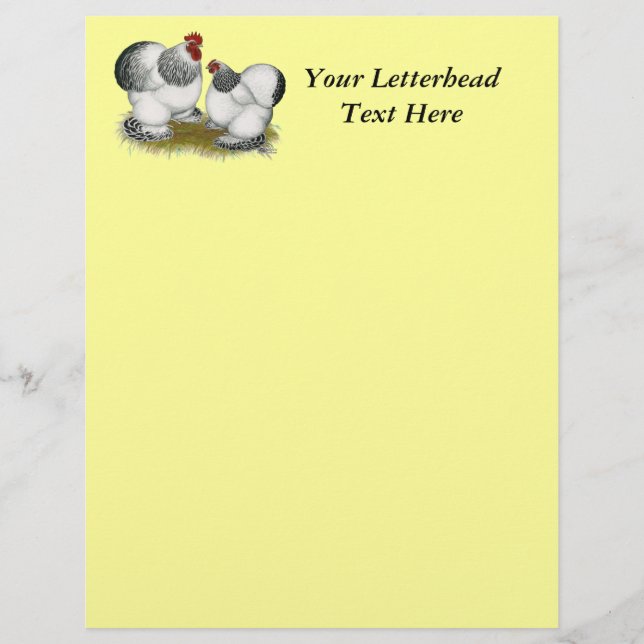 Cochins:  Columbian Bantams (Front)