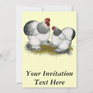 Cochins: Columbian Bantams Invitation