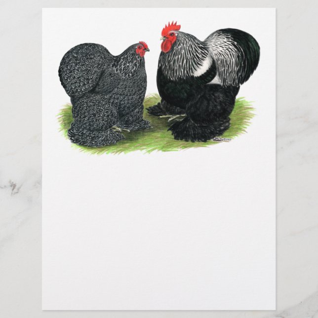 Cochins:  Silver-penciled Flyer (Front)