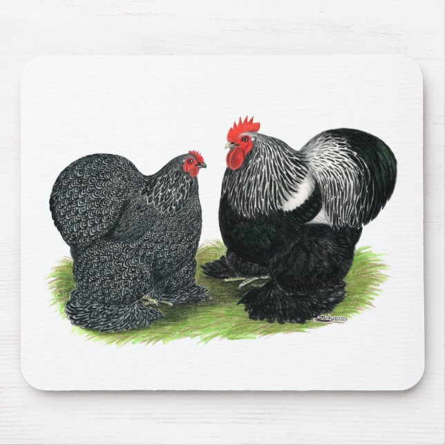 Cochins:  Silver-penciled Mouse Mat (Front)
