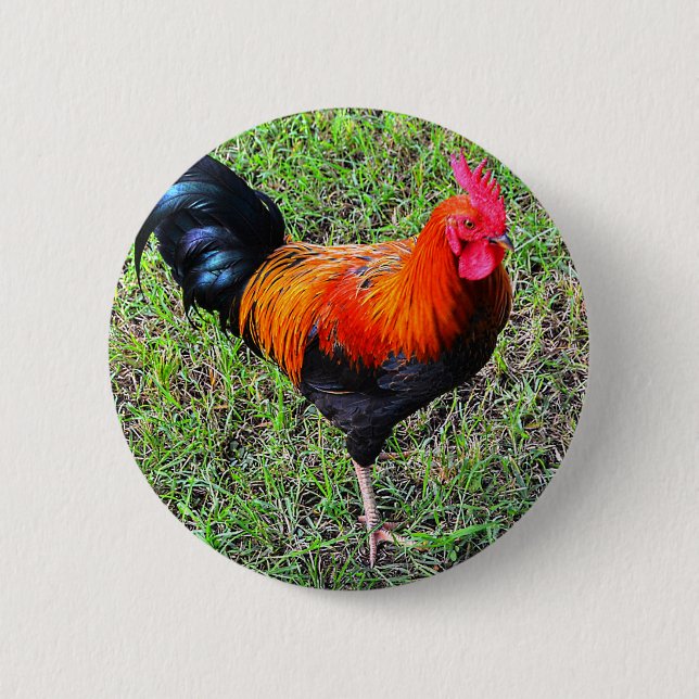 Cock-A-Doodle-Do 6 Cm Round Badge (Front)